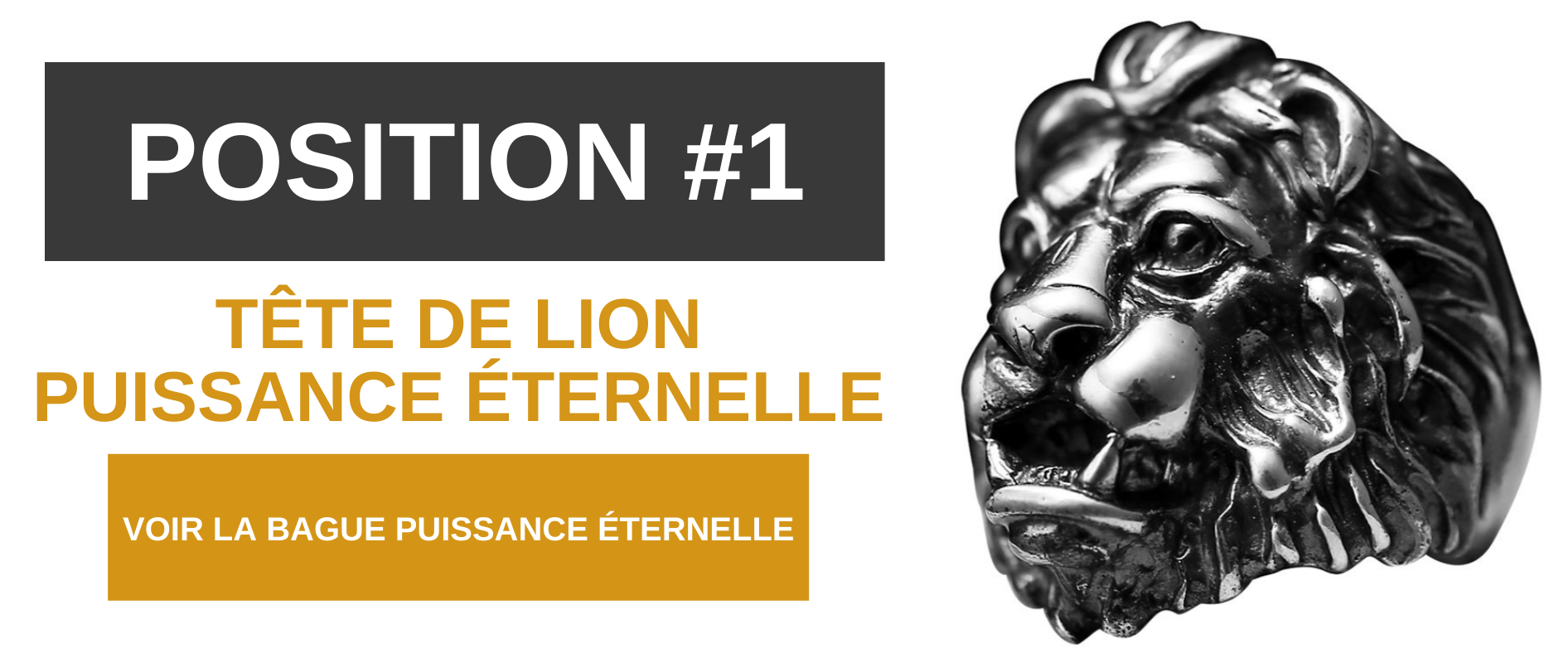 Bague tête de lion argent.