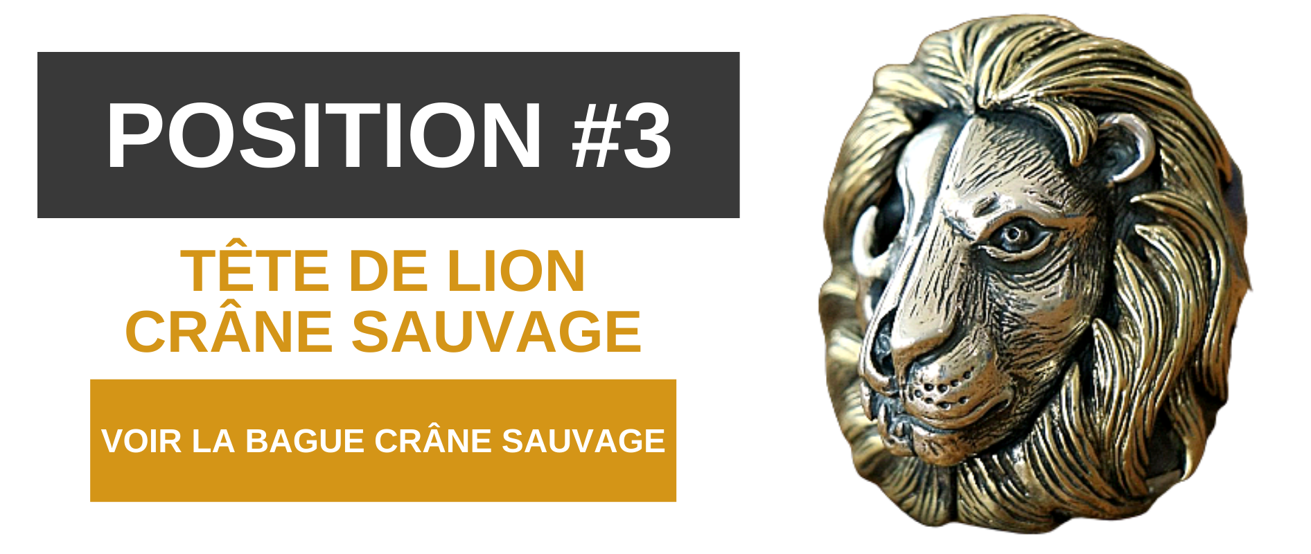 Bague tête de lion en argent.