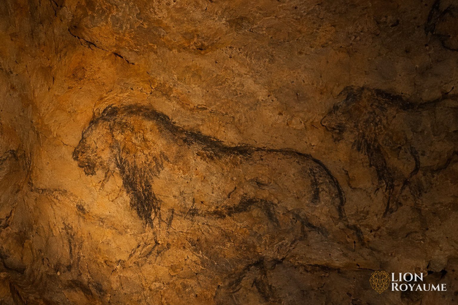 Dessins de lions au charbon sur la paroi rugueuse d'une grotte calcaire