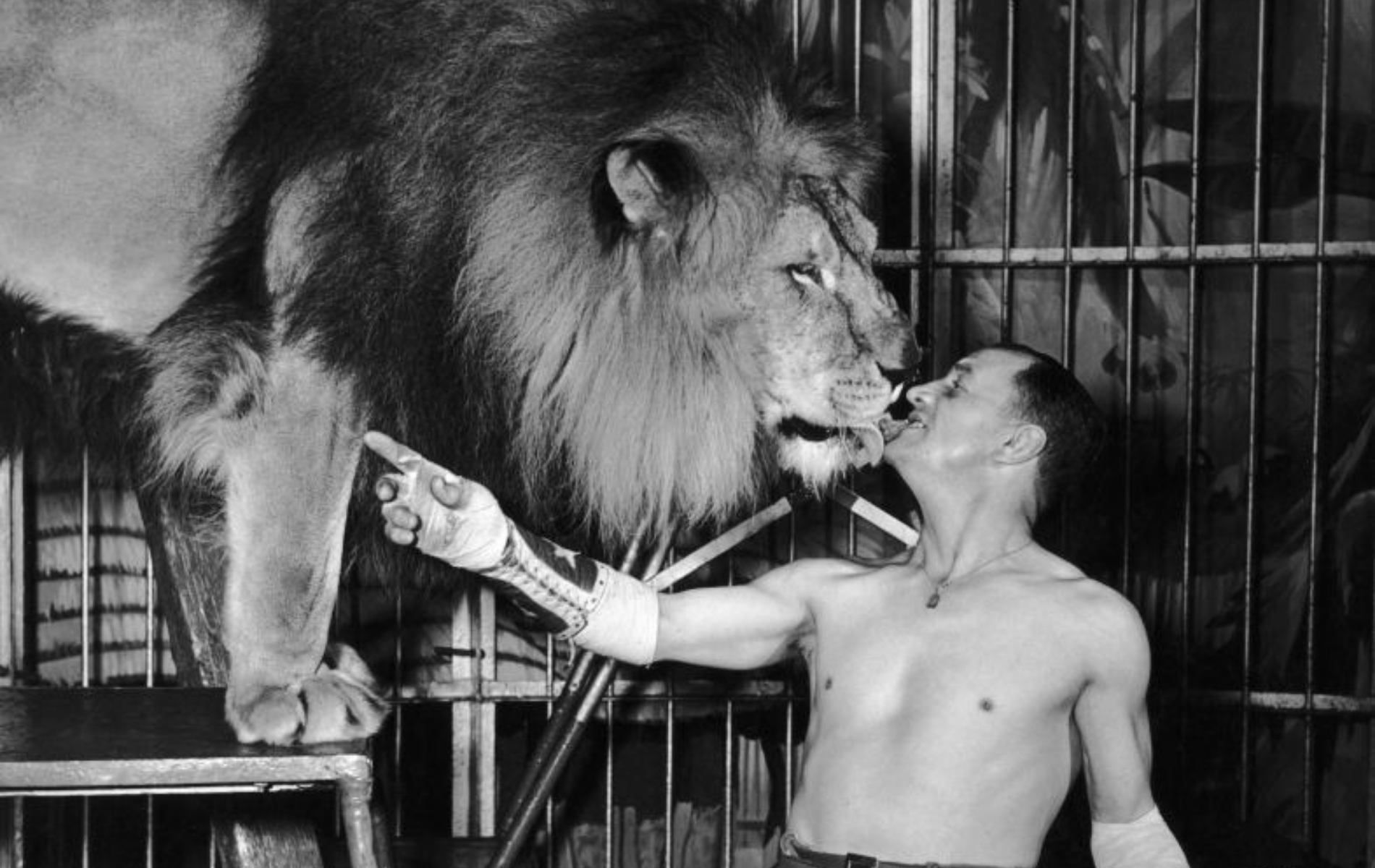 Le dompteur de lions Jim Roose.