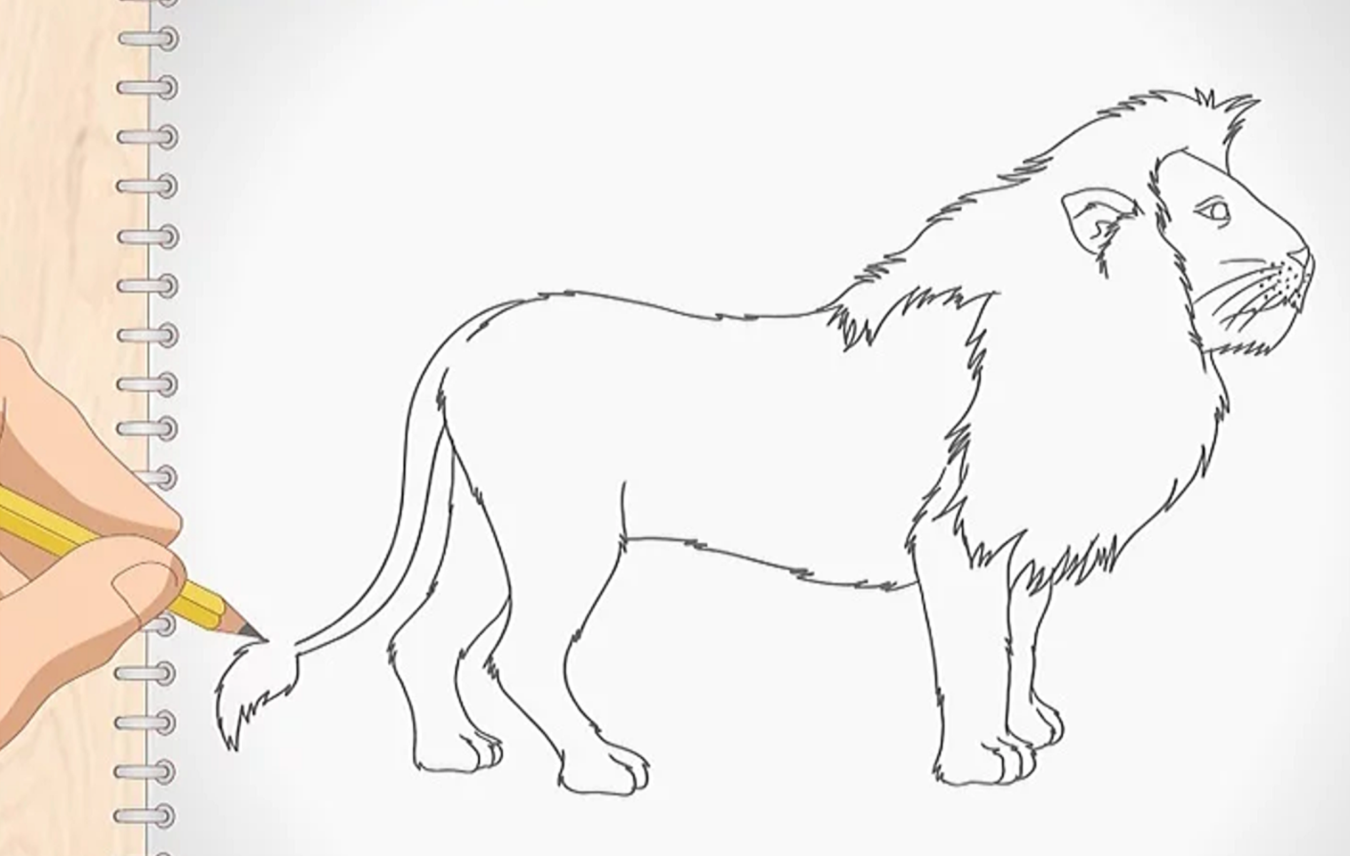 Dessiner un lion.