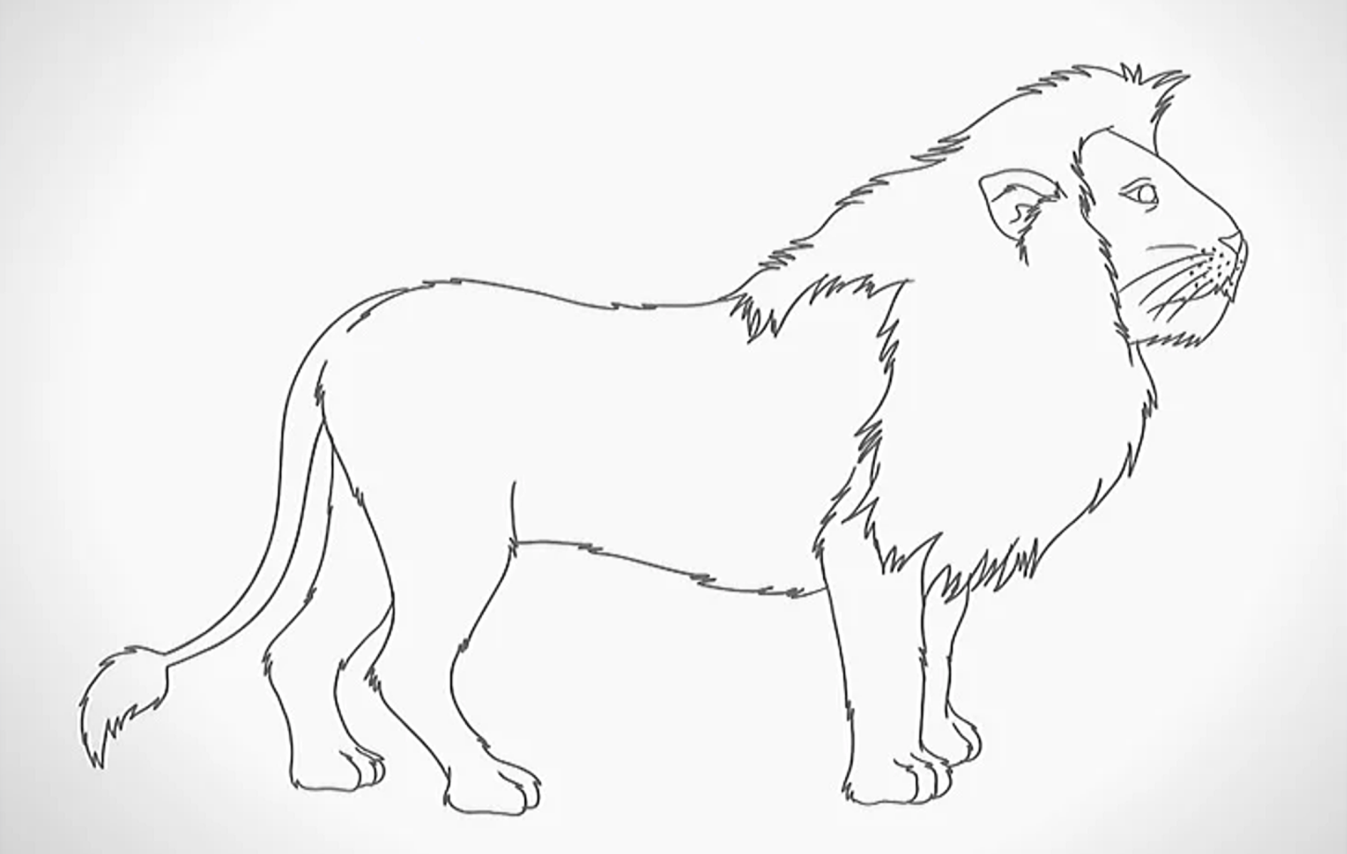 Dessiner un lion.