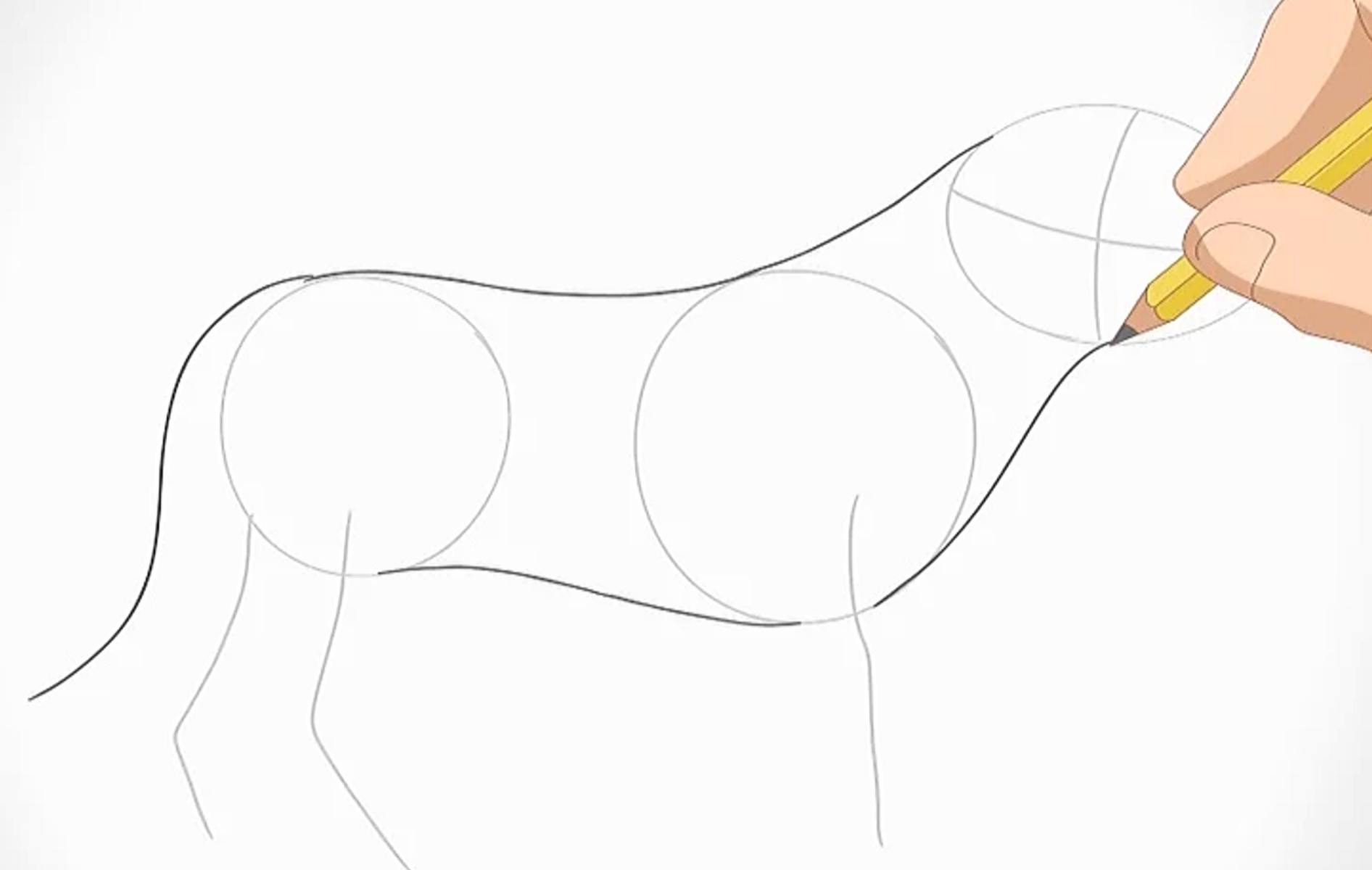 Dessiner un lion.