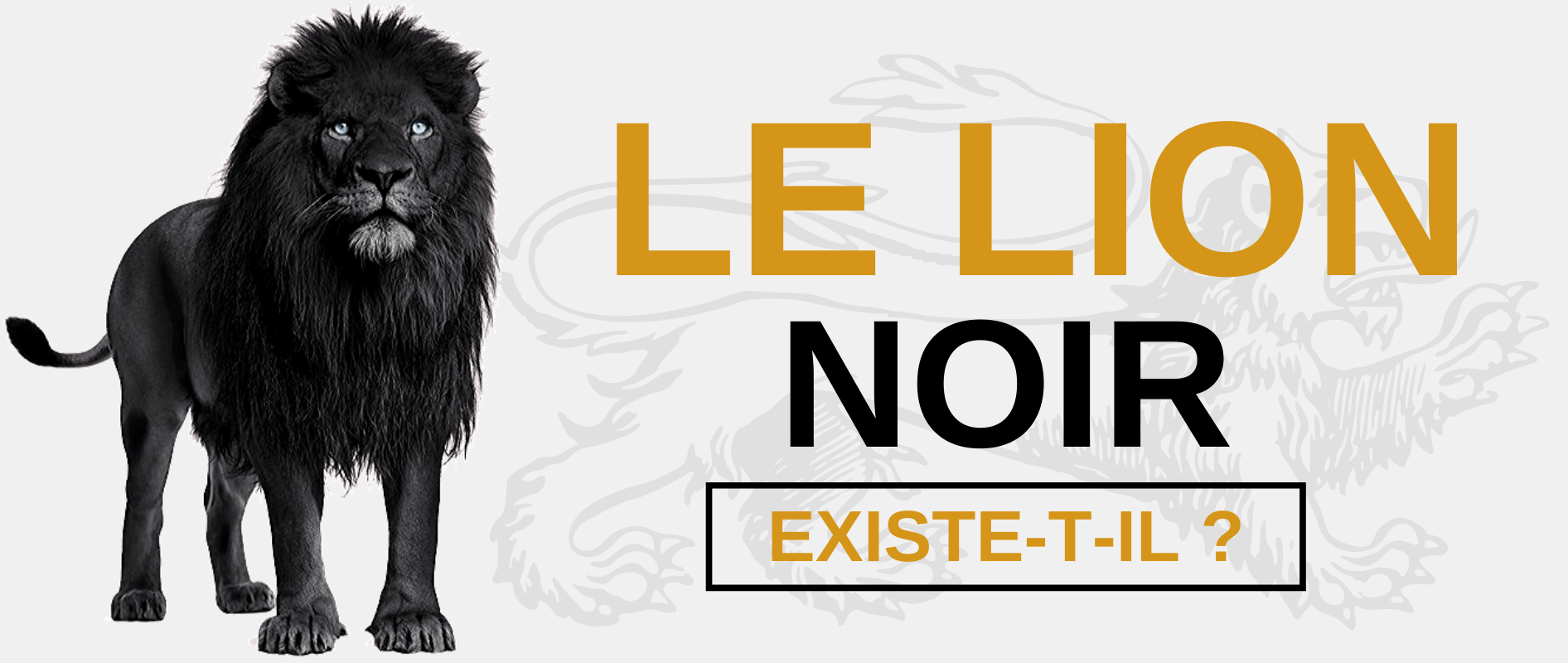 Lion noir