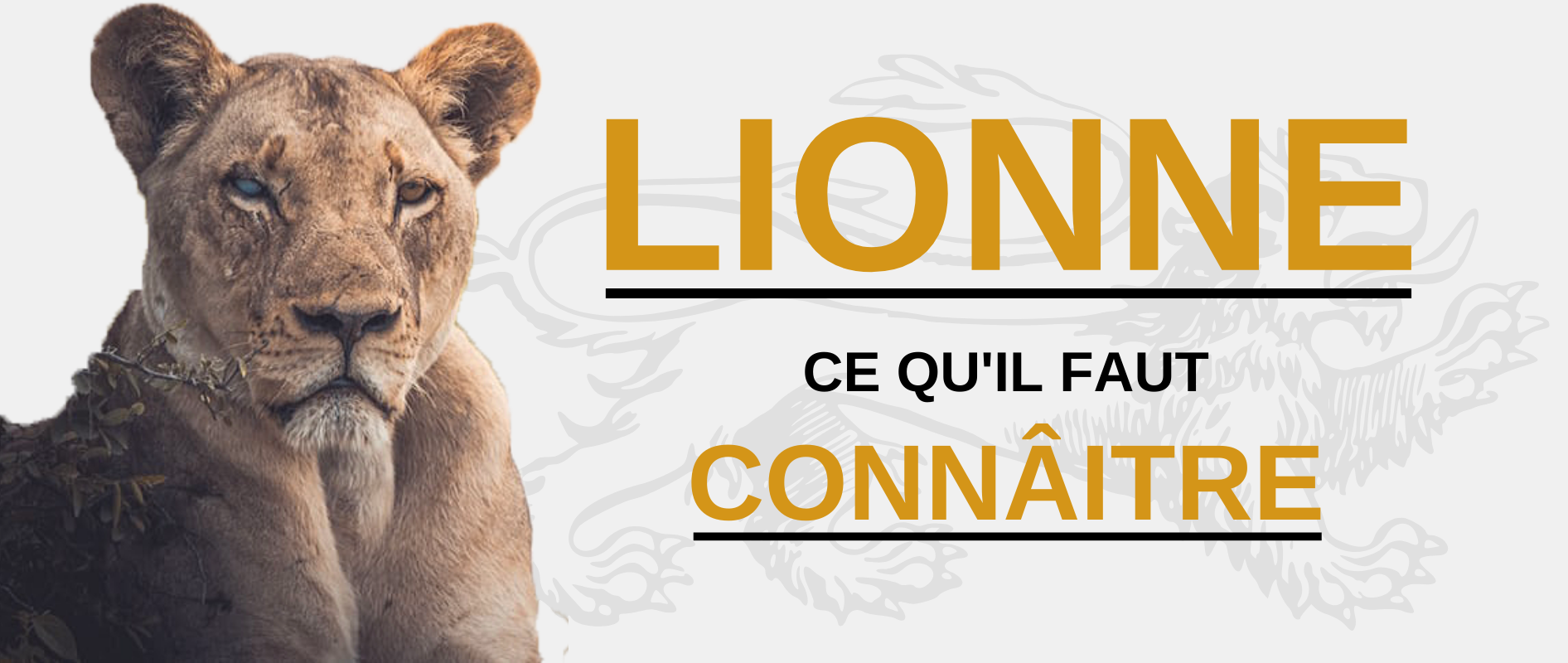 Lionne