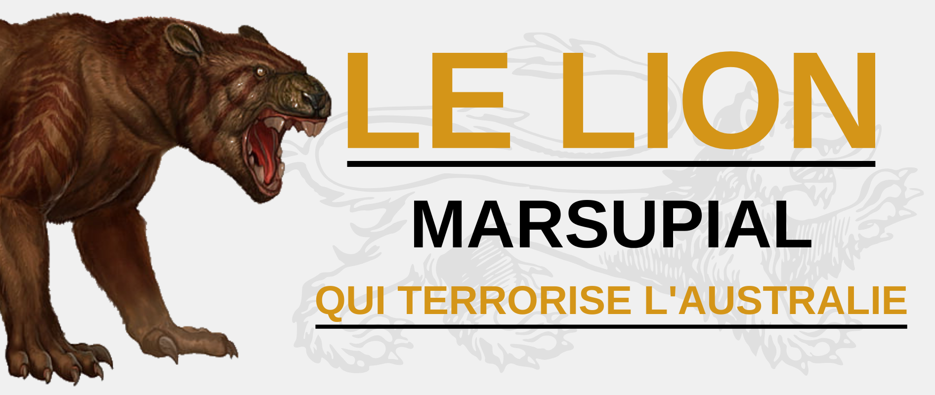 Le lion marsupial.