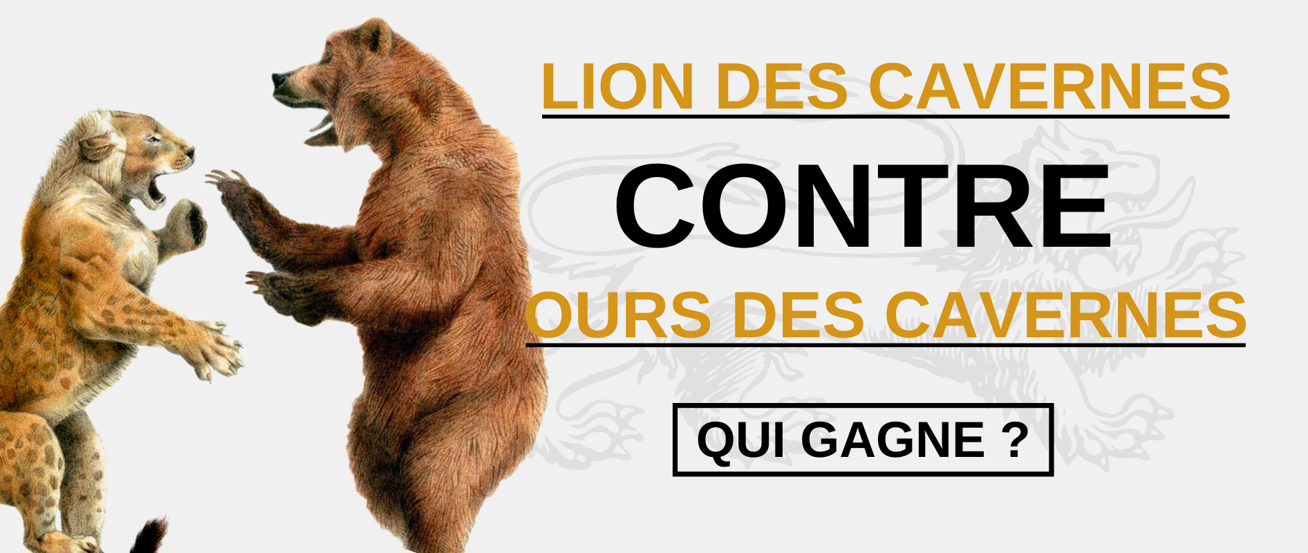 Lion contre ours.
