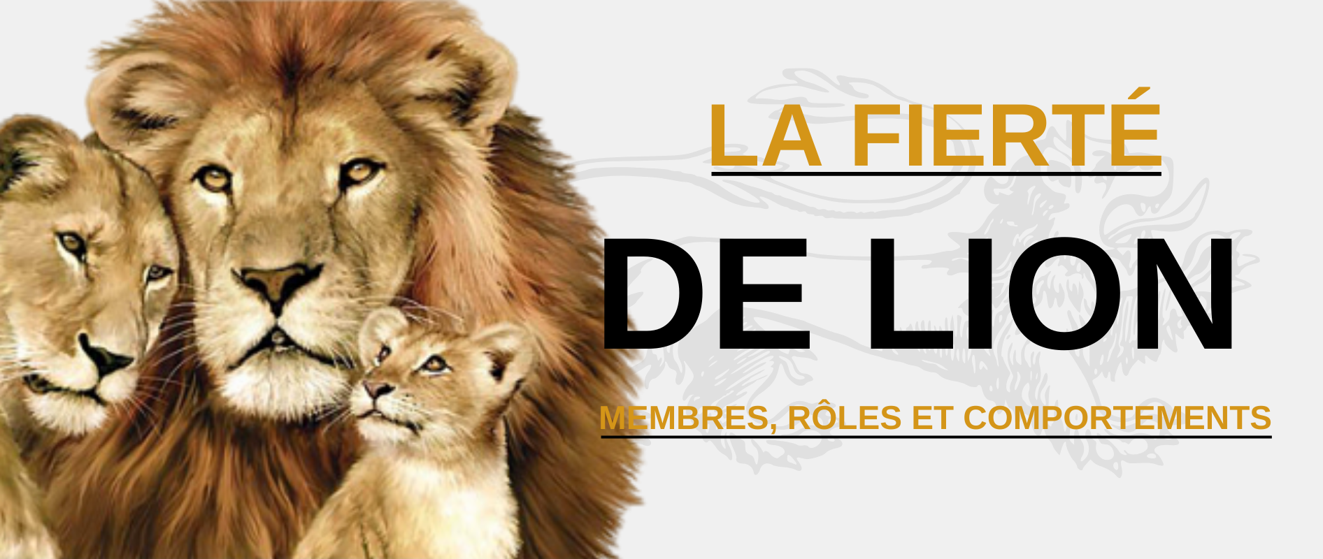 Fierté de lions.