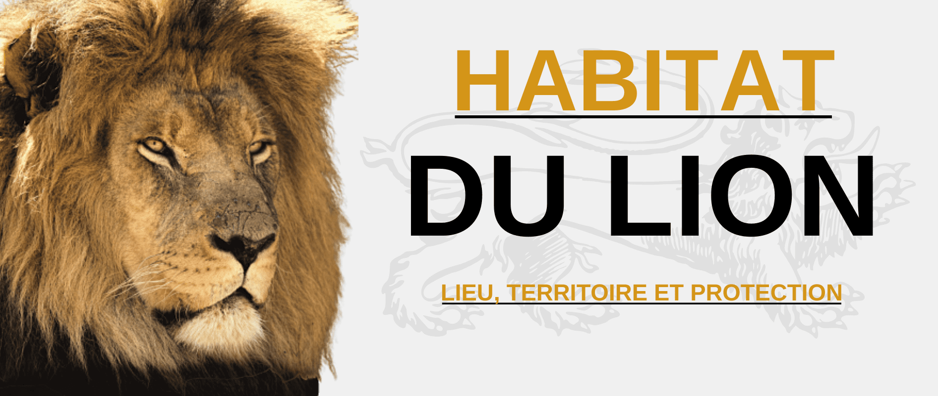 Habitat du lion.