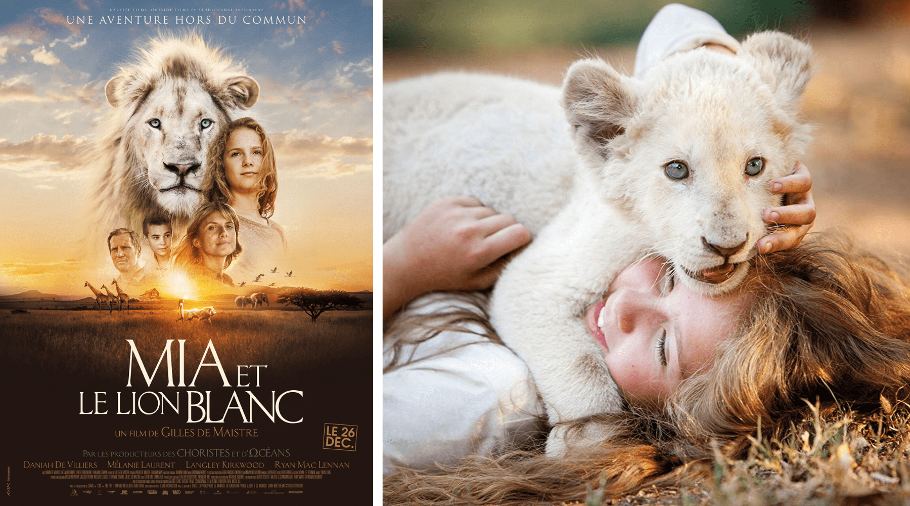 Mia et le lion blanc.