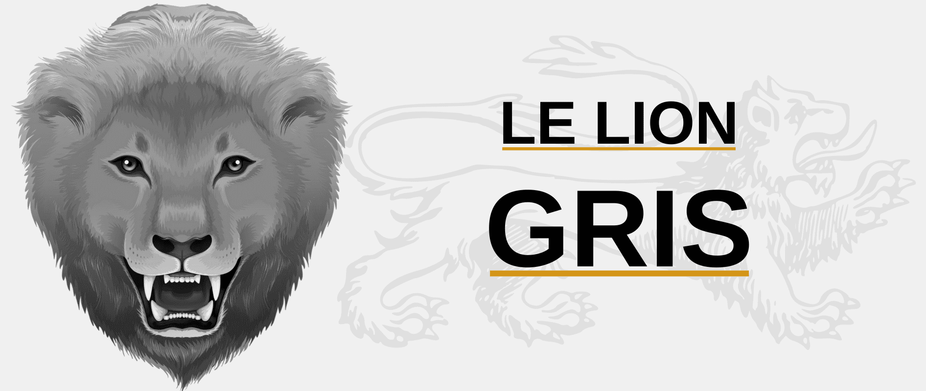 lion gris