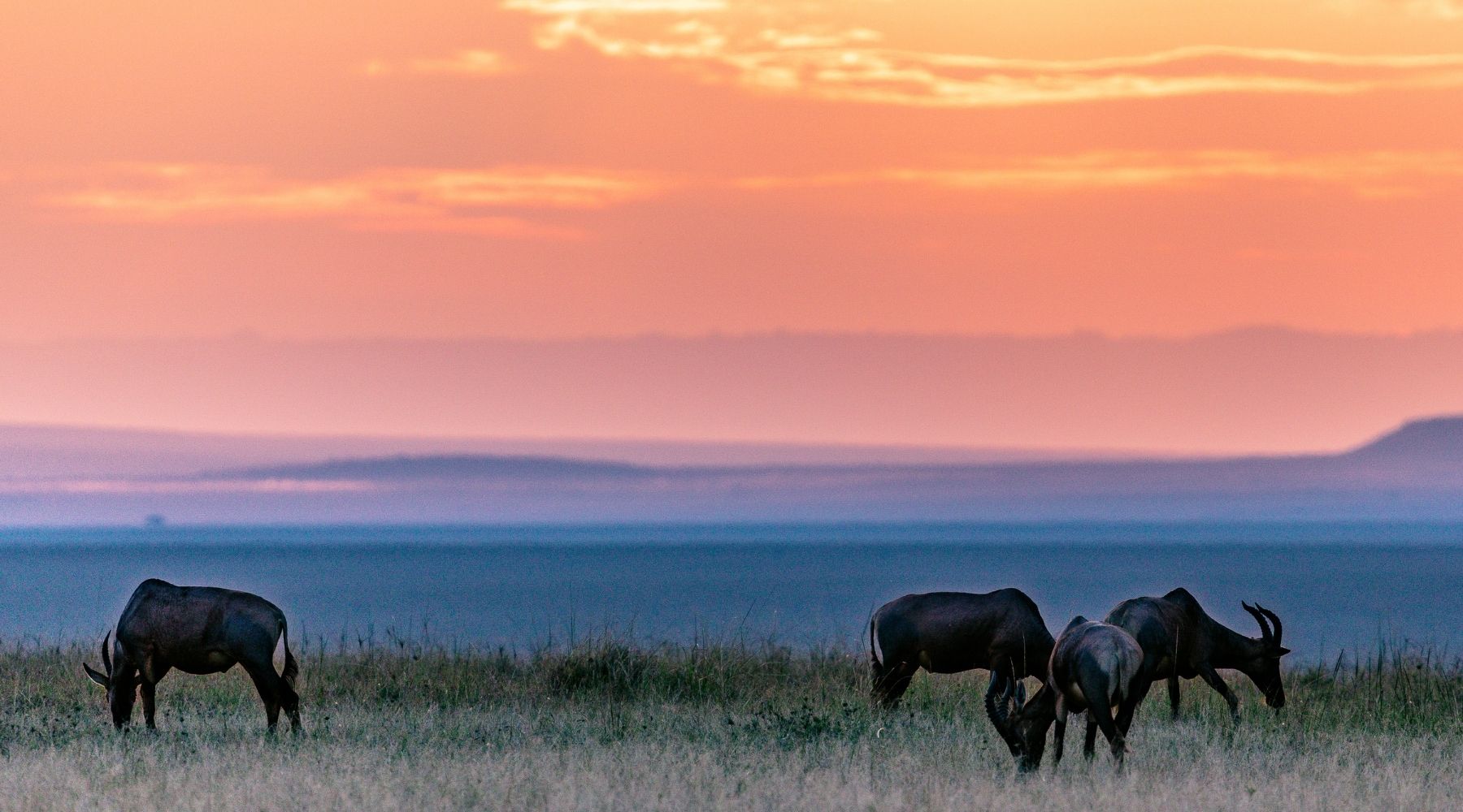 coucher de soleil afrique
