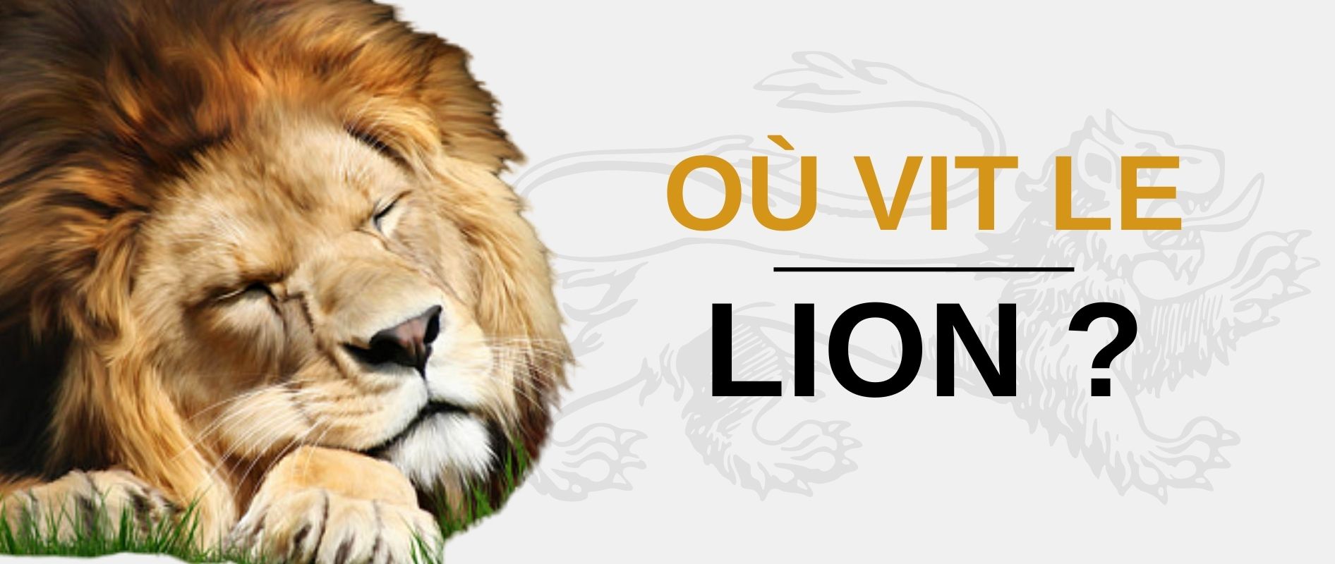 Où vit le Lion ?