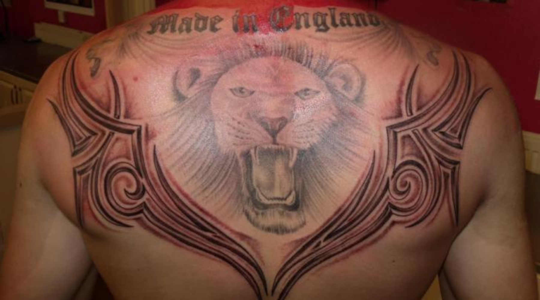 tatouage lion plume