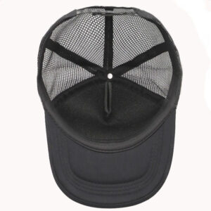 casquette roi lion intérieur