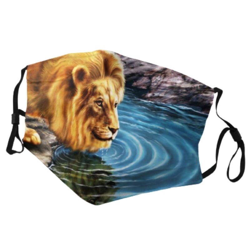 masque lion riviere