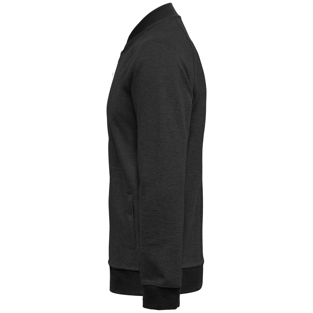 Profil veste homme lion.