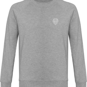Pull gris lion royaume.