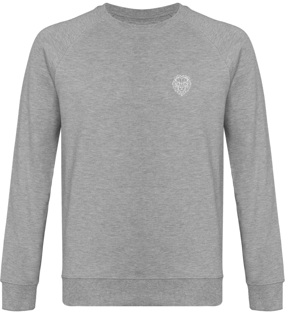 Pull gris lion royaume.