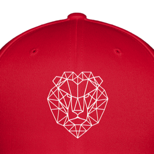 Tête de lion casquette.