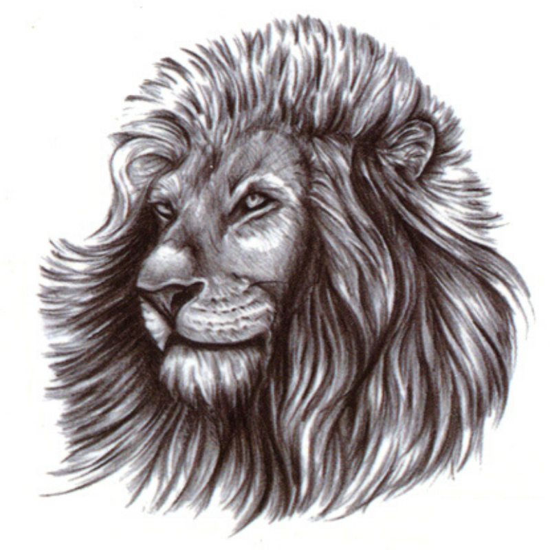 Tatouage Ephémère Tête de Lion