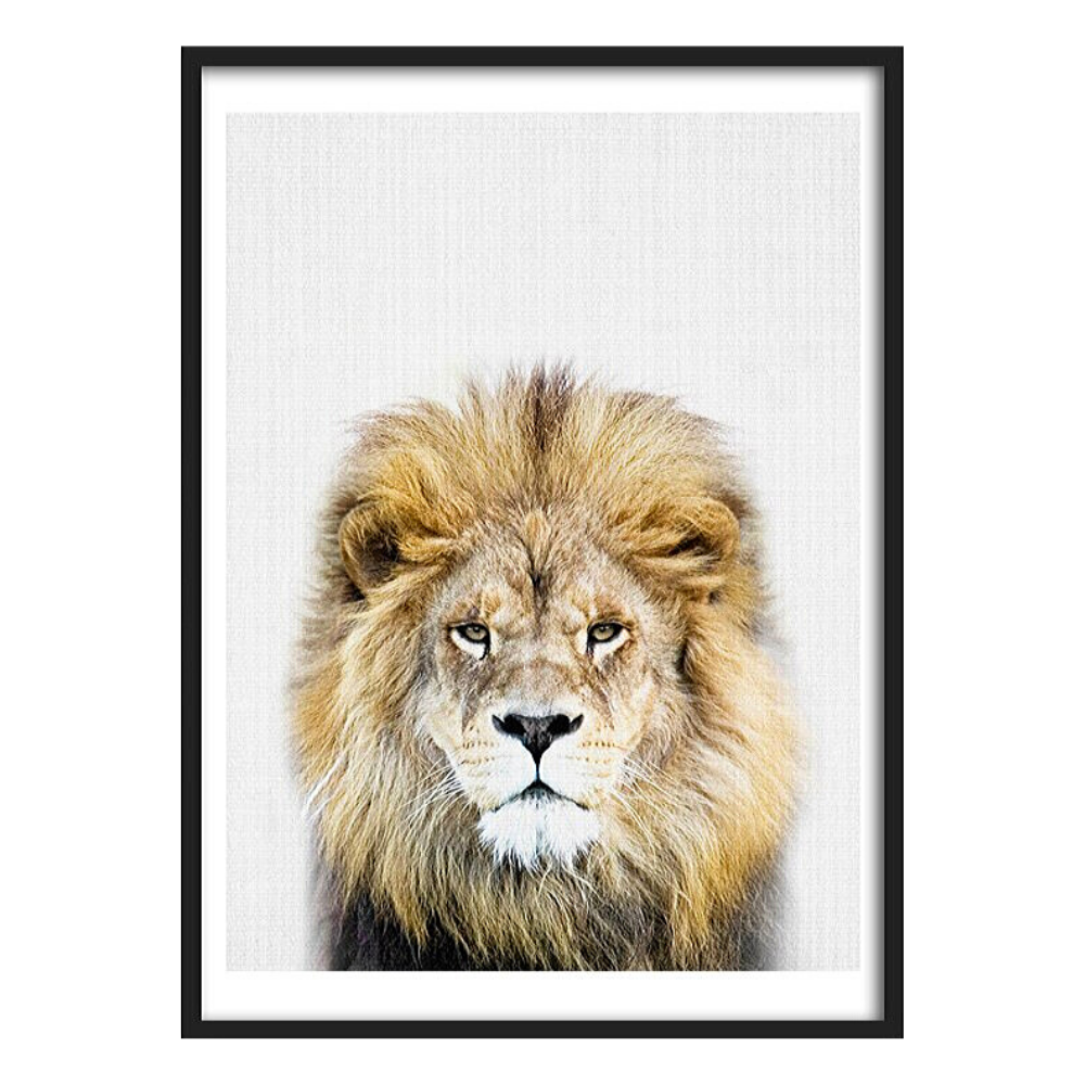 Cadre lion en couleurs.