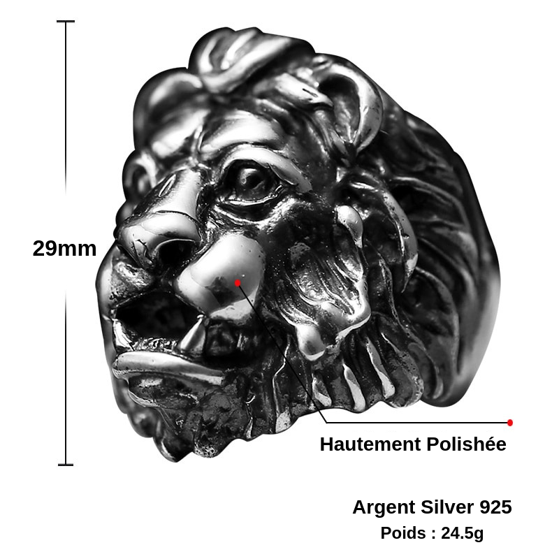 Chevalière Tête de Lion Gitan en Argent