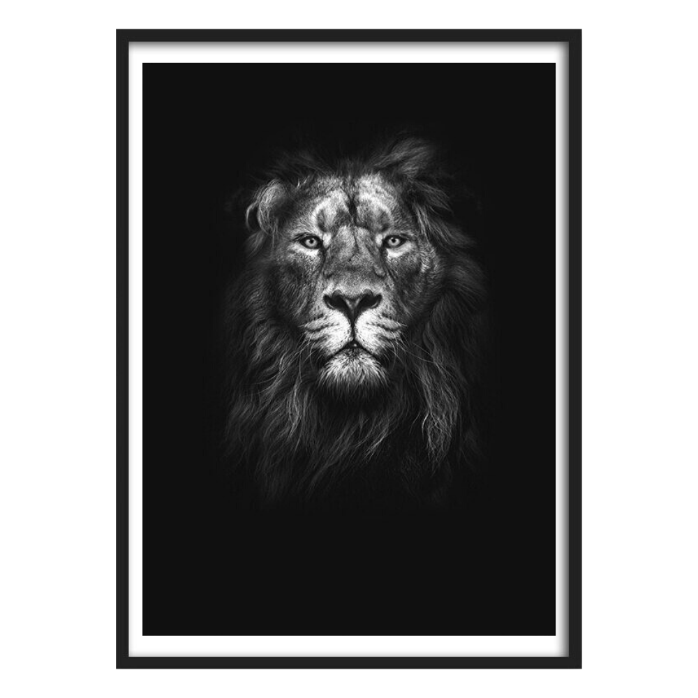 Cadre lion action.