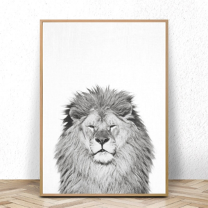 Cadre lion portrait noir et blanc.
