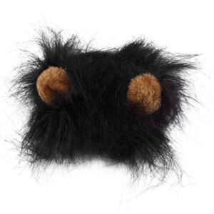 Chat Crinière de Lion Noire
