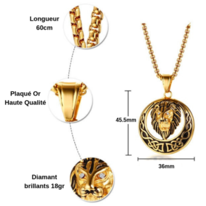 Collier en or pour homme tete de lion.