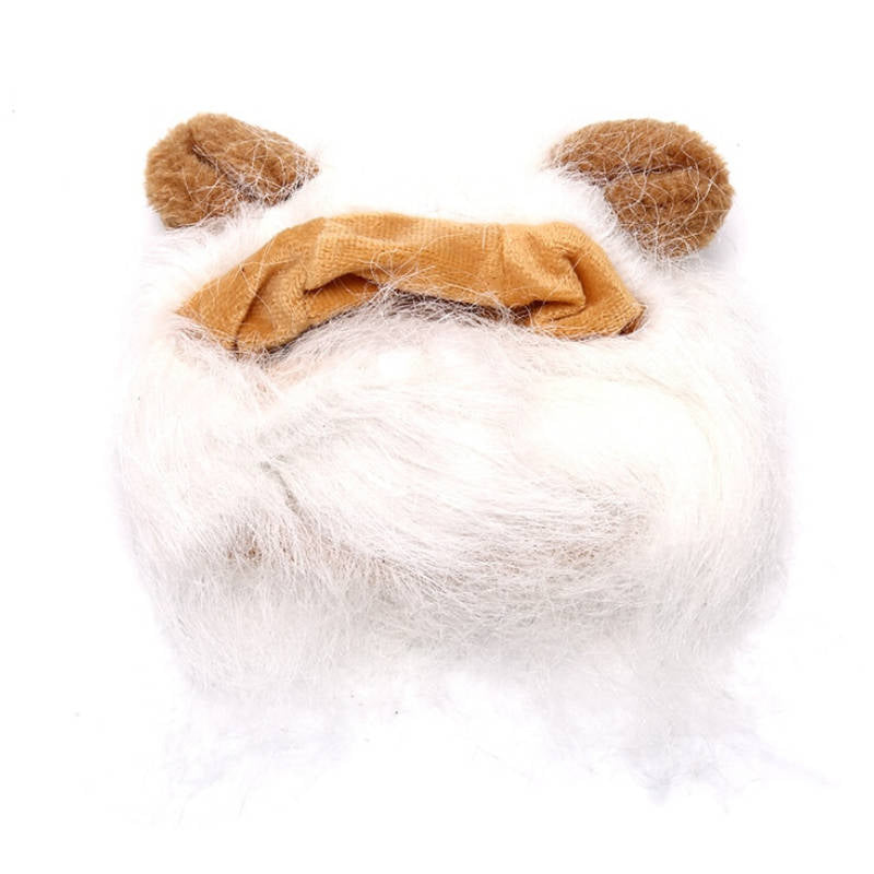 Crinière de Lion Blanche pour Chat