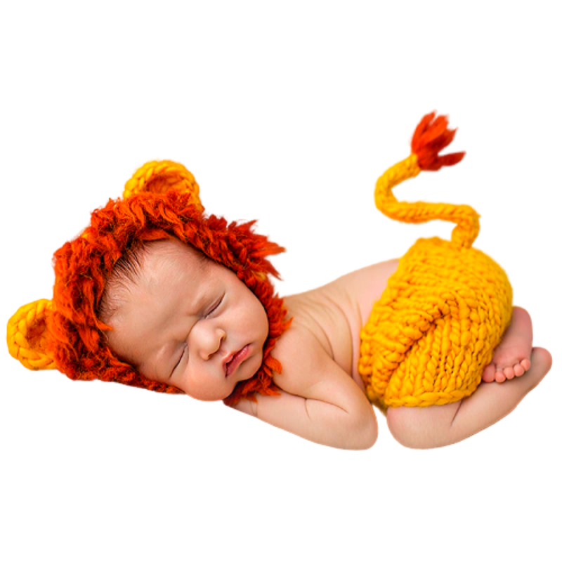 Déguisement lion bébé.