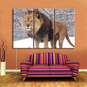 Cadre de lion en couleurs.