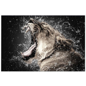 Tableau Lion Charme toile photo tête de lion