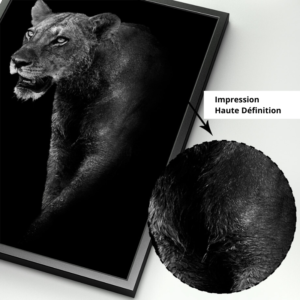 Poster lionne haute définition.
