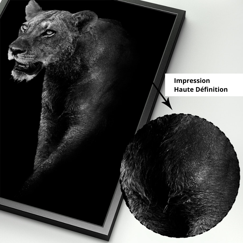 Poster lionne haute définition.
