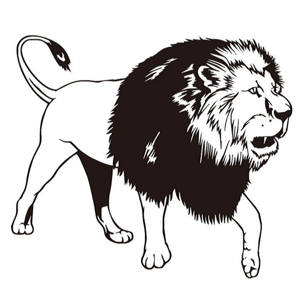 Sticker lion réaliste.