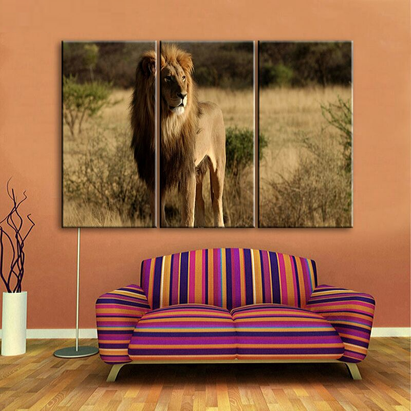 Cadre déco lion dans la nature.