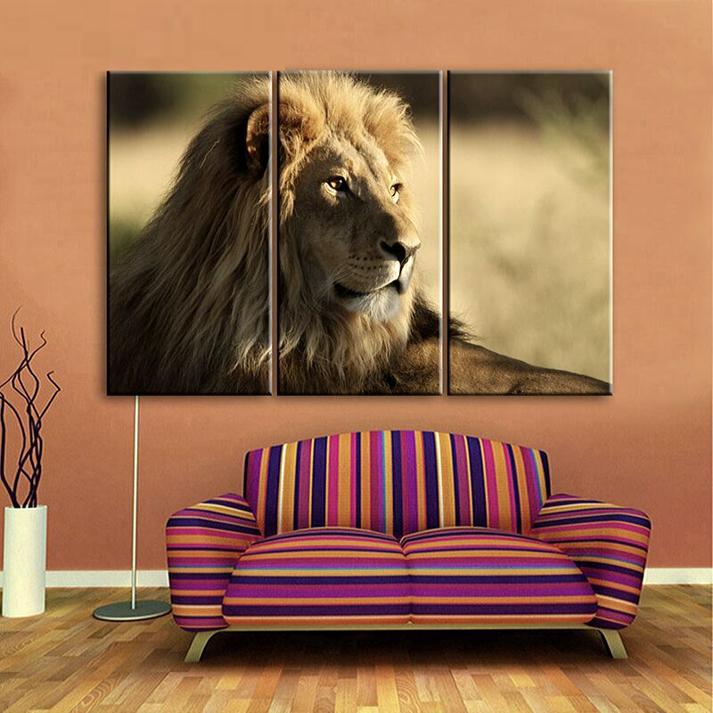 Cadre lion couleurs.