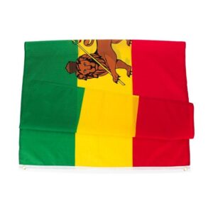 Drapeau vert jaune et rouge avec lion.