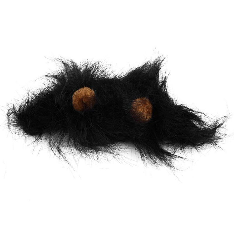 Chat Crinière de Lion Noire photo