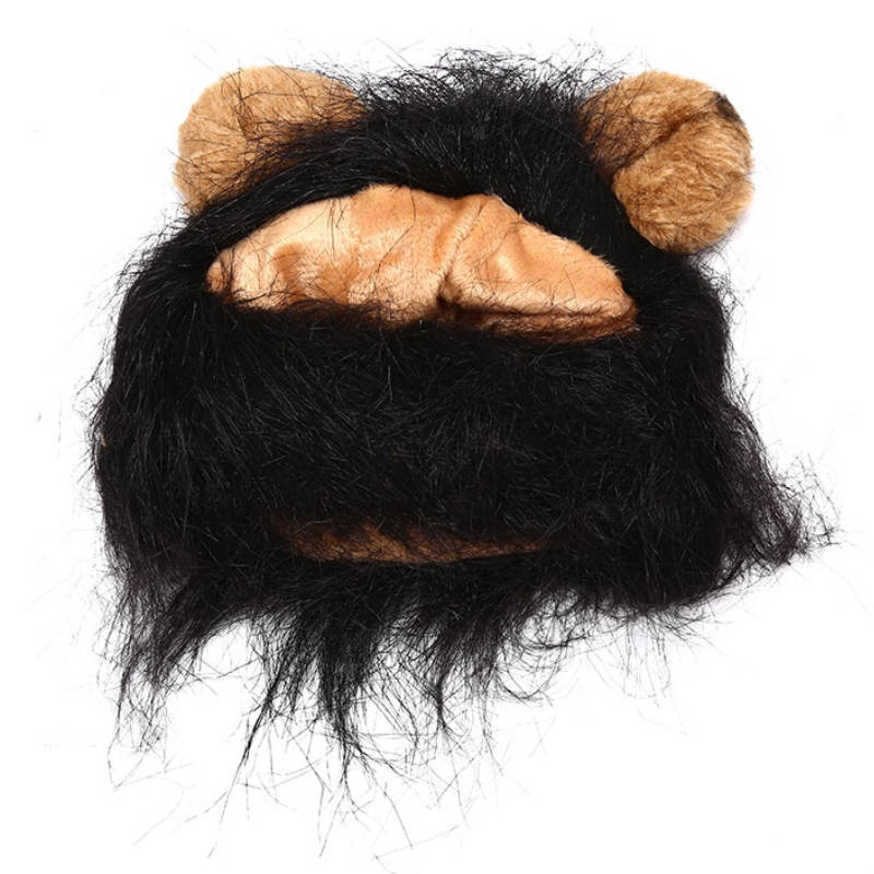 Lion Crinière Noir Chat