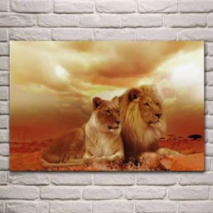 Canva lion et lionne en couleurs.