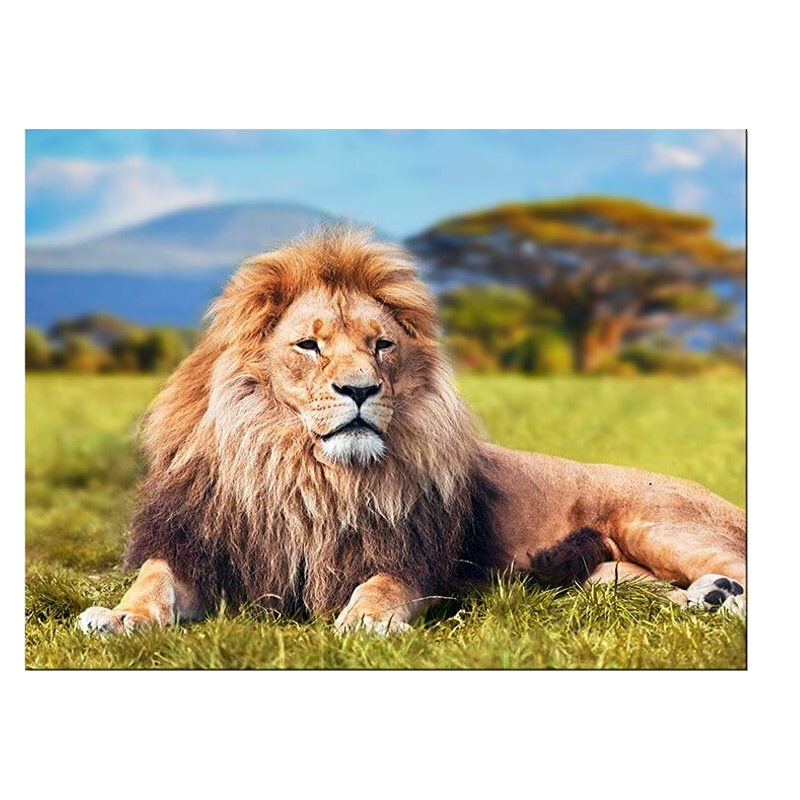 Tableau lion couché sur fond vert.