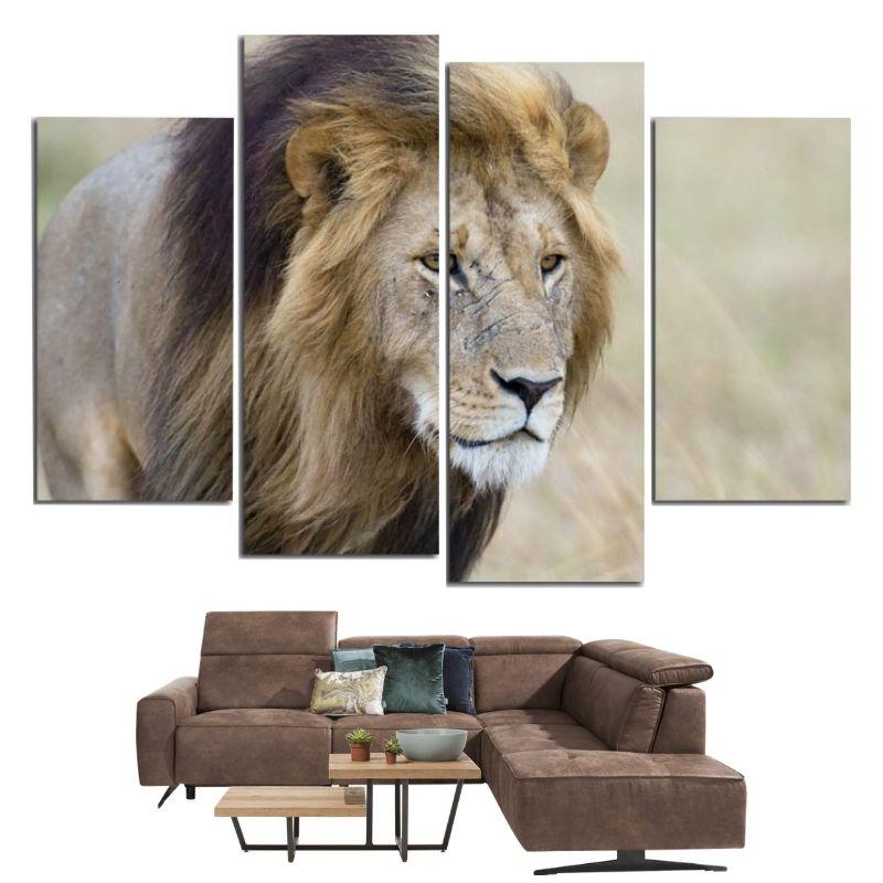 Lion Tableau Couleur
