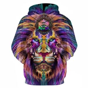 Sweat Multicolore Homme