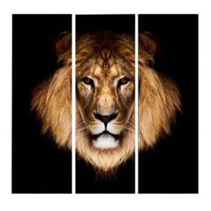 Tableau Lion Allure photo lion couleur
