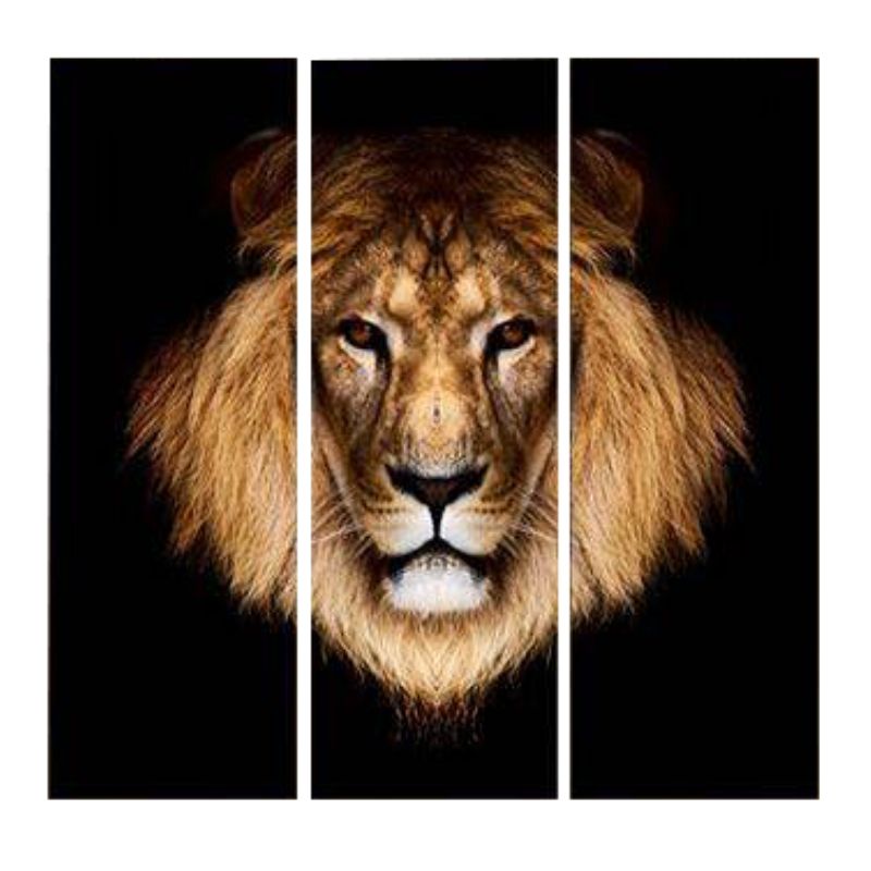 Tableau Lion Allure photo lion couleur