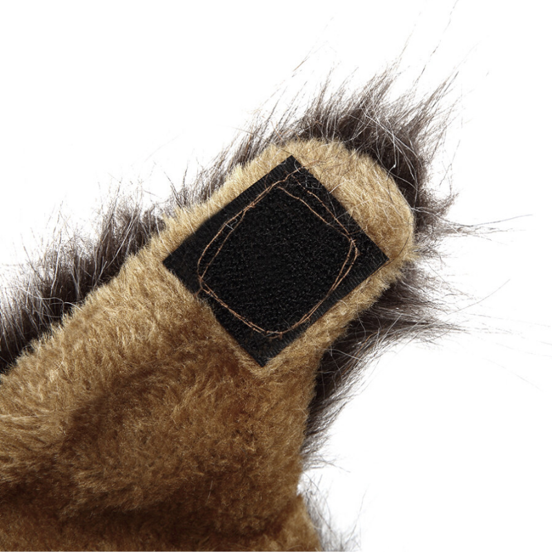 Chat Crinière de Lion Noire fermeture